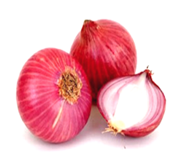 Onion Pink - Galaxy Expo Company